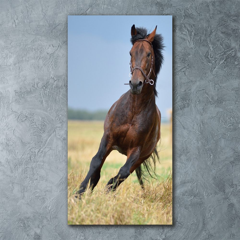 Tableau acrylique Cheval dans un champ