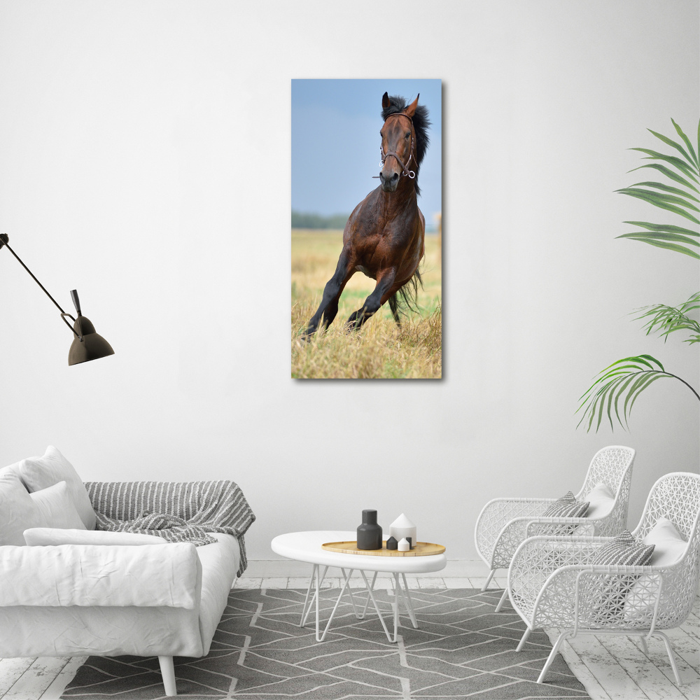 Tableau acrylique Cheval dans un champ