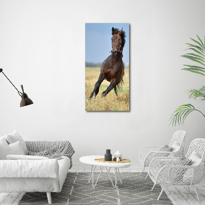 Tableau acrylique Cheval dans un champ