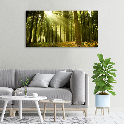 Tableau mural sur toile Forêt de pins