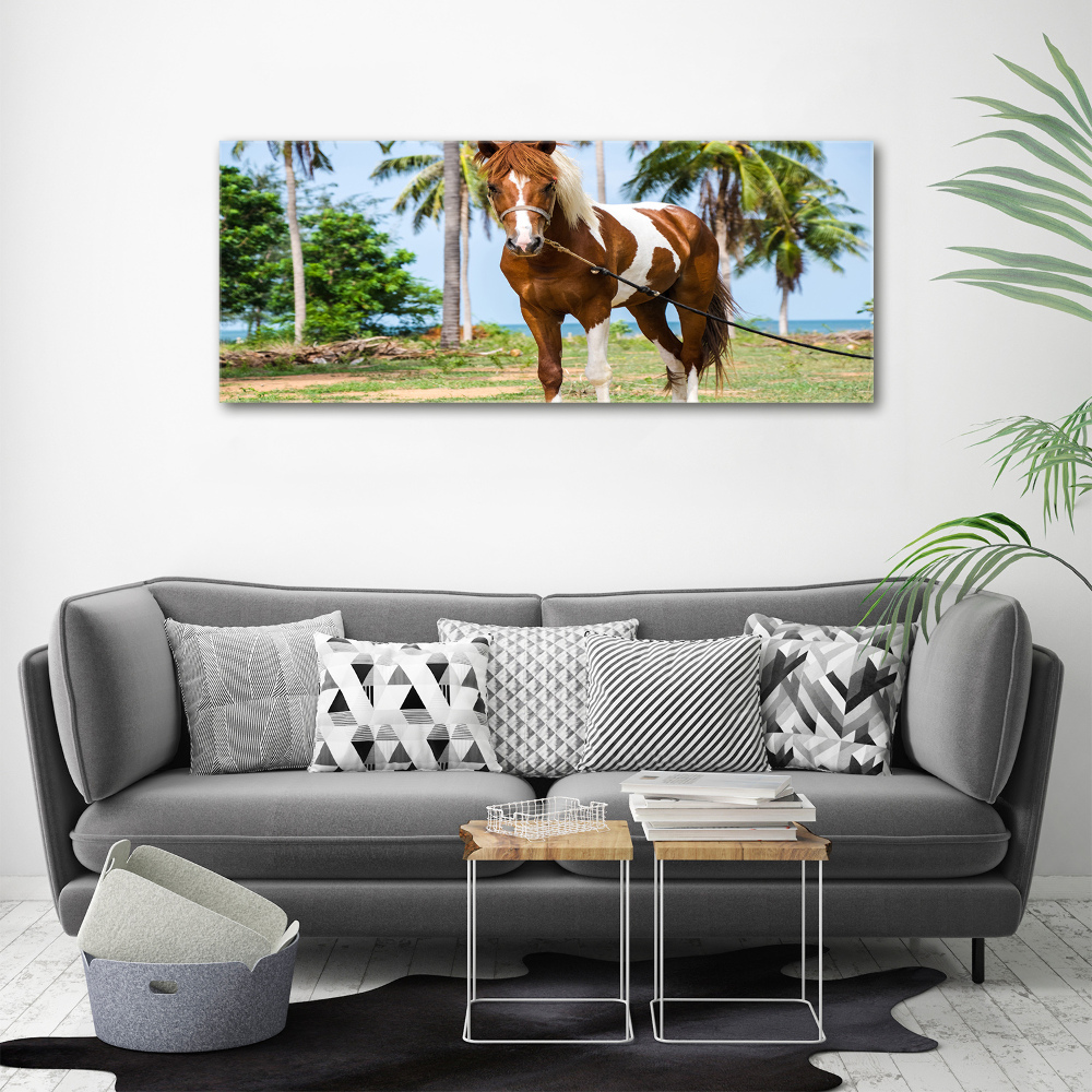 Tableau imprimé sur toile Cheval latin