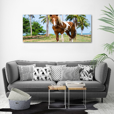 Tableau imprimé sur toile Cheval latin