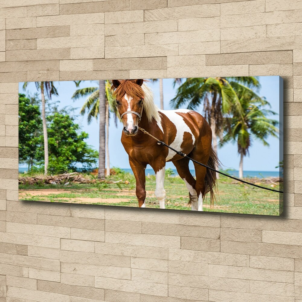 Tableau imprimé sur toile Cheval latin