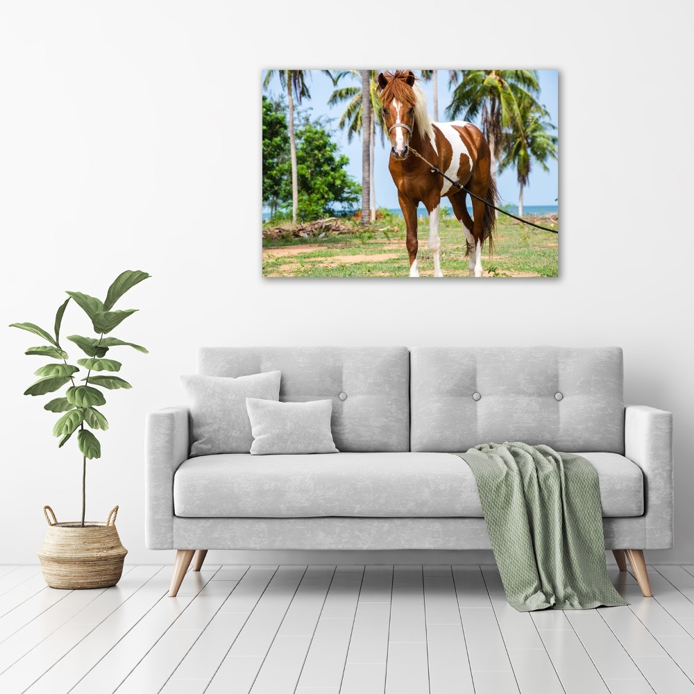 Tableau imprimé sur toile Cheval latin