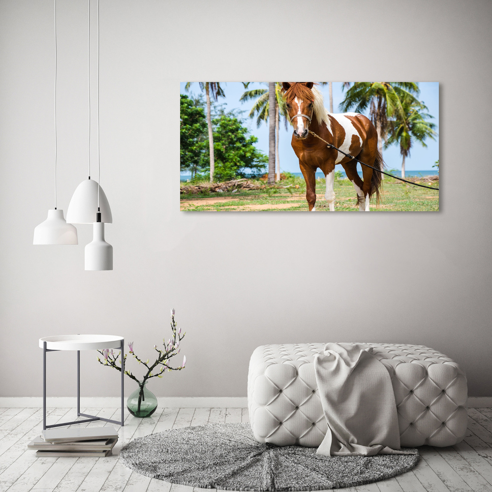 Tableau imprimé sur toile Cheval latin