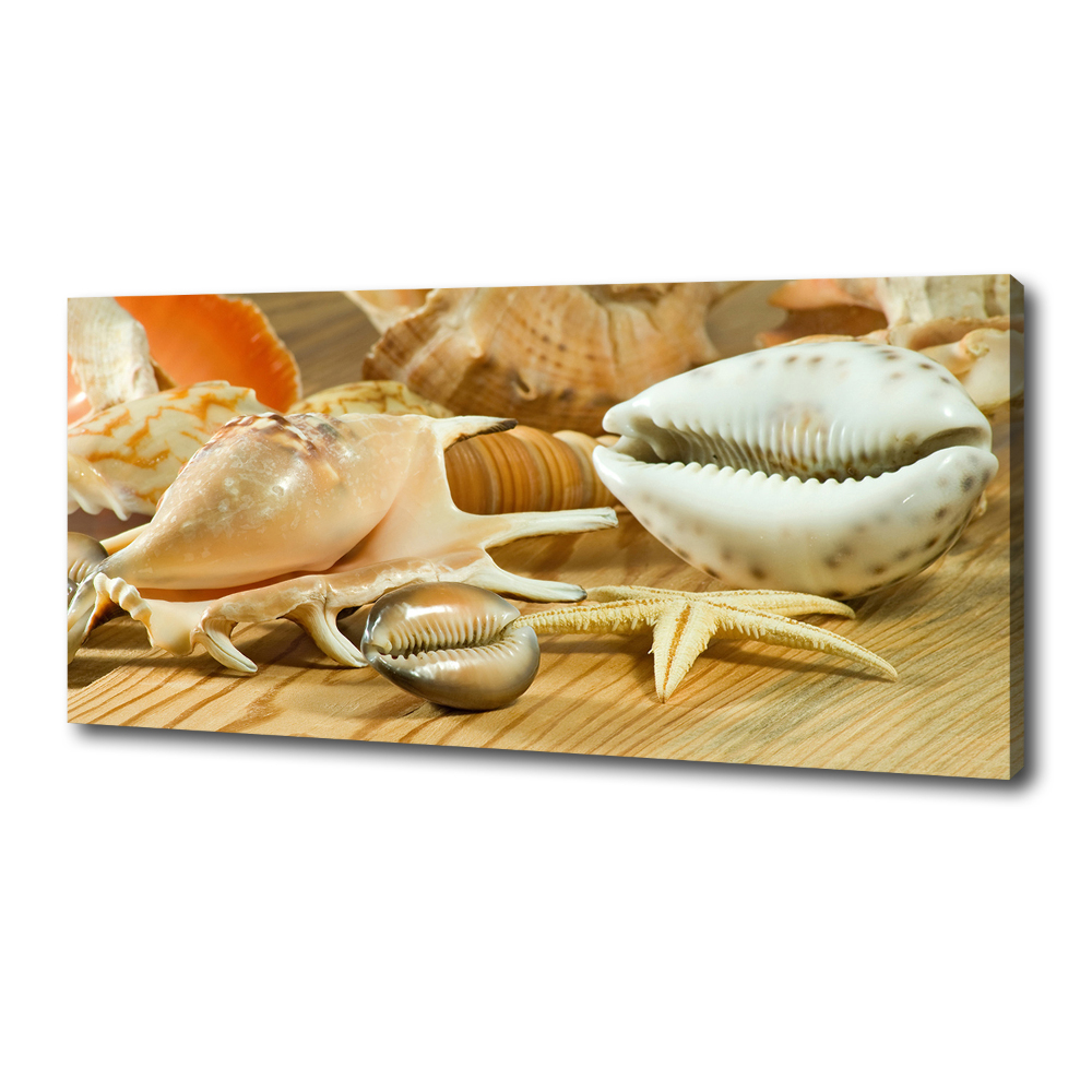 Tableau sur toile Coquillages sur bois