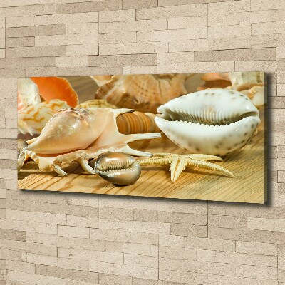 Tableau sur toile Coquillages sur bois