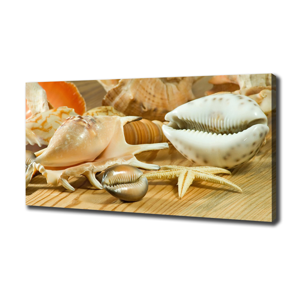 Tableau sur toile Coquillages sur bois