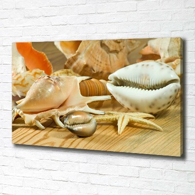 Tableau sur toile Coquillages sur bois