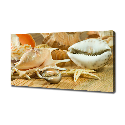 Tableau sur toile Coquillages sur bois