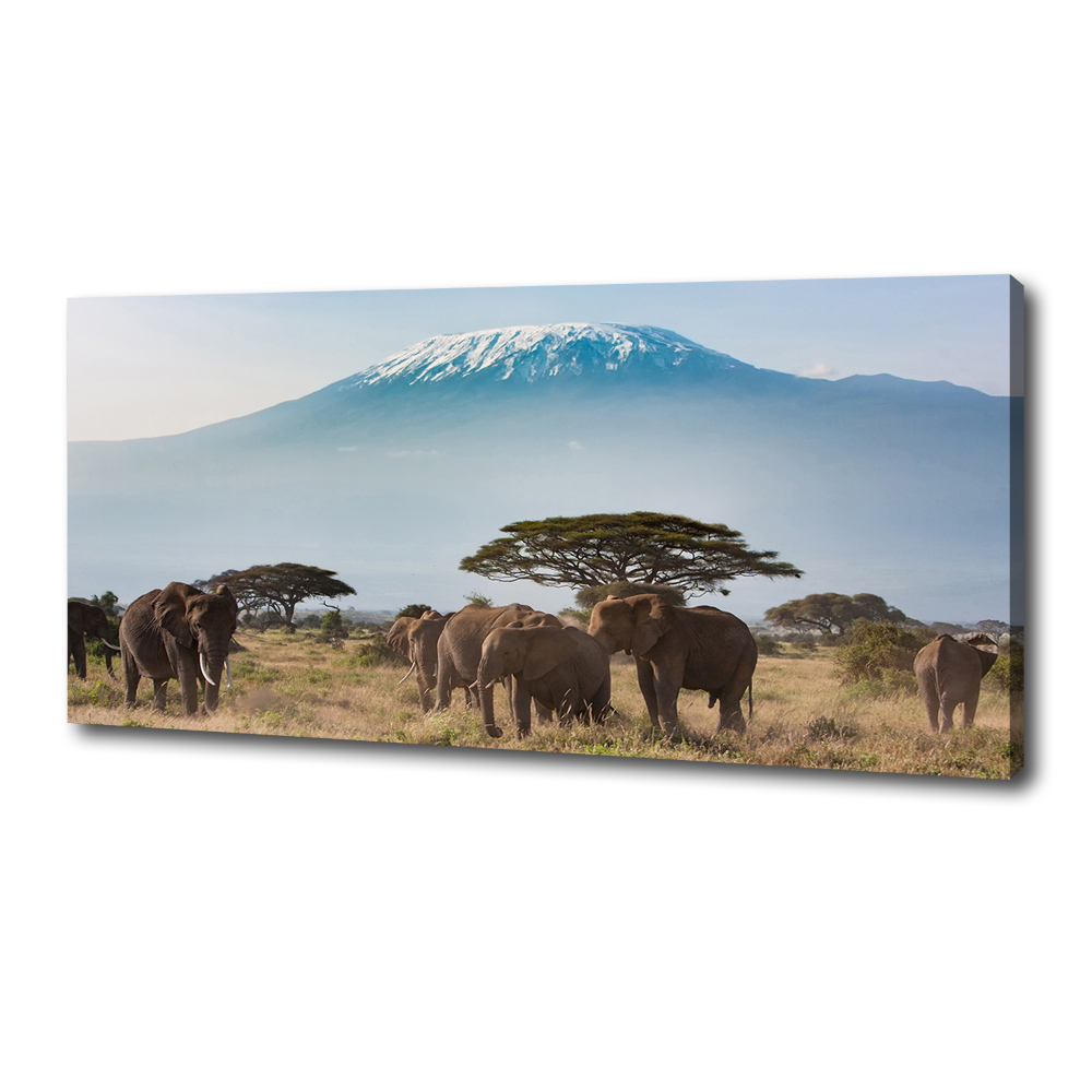 Tableau mural sur toile Eléphants du Kilimandjaro