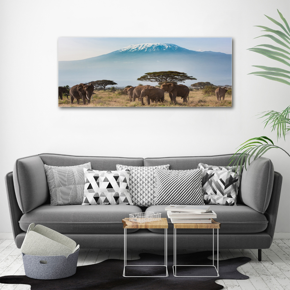 Tableau mural sur toile Eléphants du Kilimandjaro