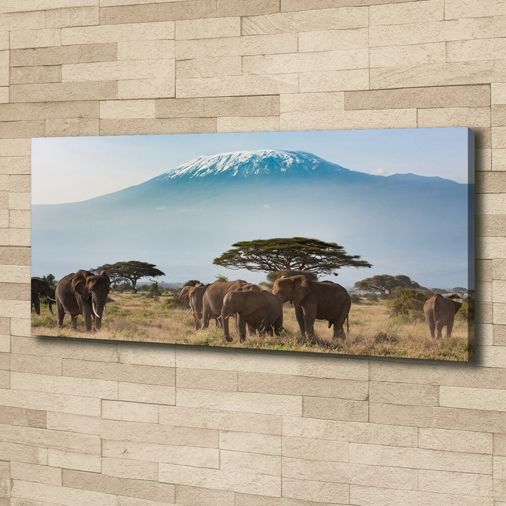 Tableau mural sur toile Eléphants du Kilimandjaro