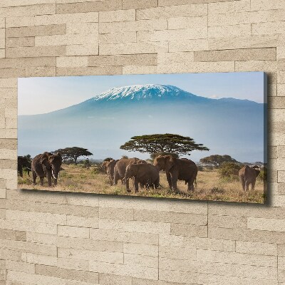 Tableau mural sur toile Eléphants du Kilimandjaro