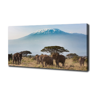 Tableau mural sur toile Eléphants du Kilimandjaro