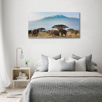 Tableau mural sur toile Eléphants du Kilimandjaro