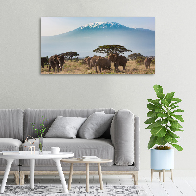 Tableau mural sur toile Eléphants du Kilimandjaro