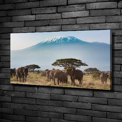 Tableau mural sur toile Eléphants du Kilimandjaro