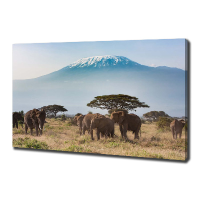 Tableau mural sur toile Eléphants du Kilimandjaro