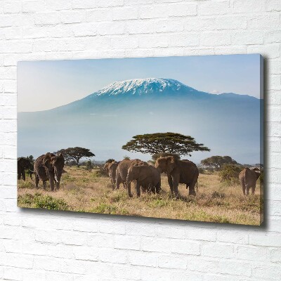 Tableau mural sur toile Eléphants du Kilimandjaro