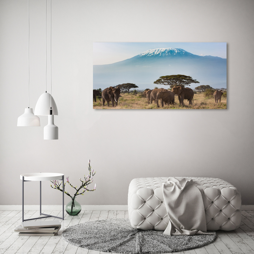 Tableau mural sur toile Eléphants du Kilimandjaro