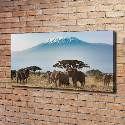 Tableau mural sur toile Eléphants du Kilimandjaro