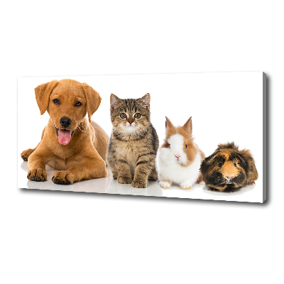 Tableau toile imprimée Chien et chat