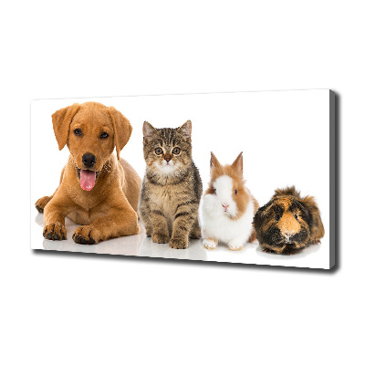 Tableau toile imprimée Chien et chat