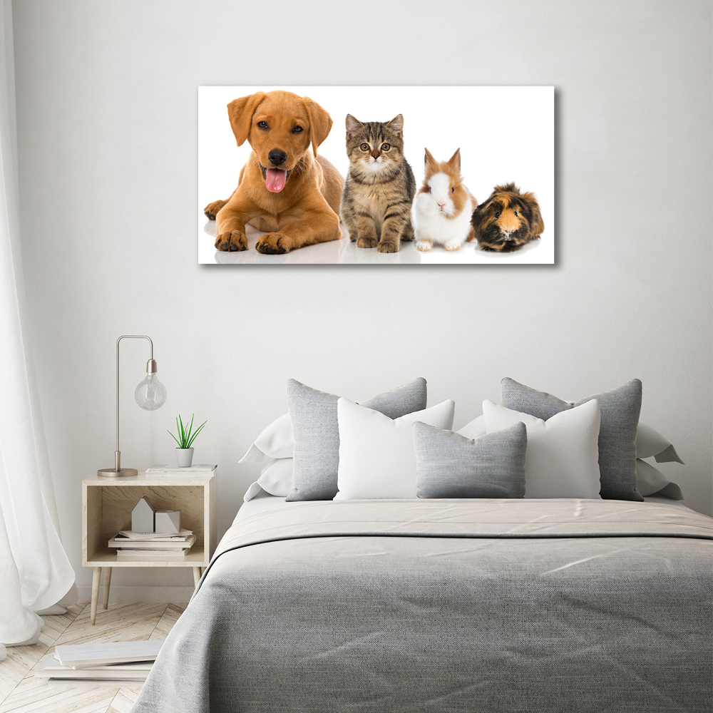 Tableau toile imprimée Chien et chat