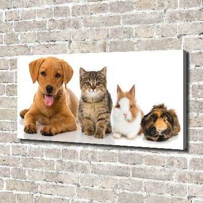 Tableau toile imprimée Chien et chat