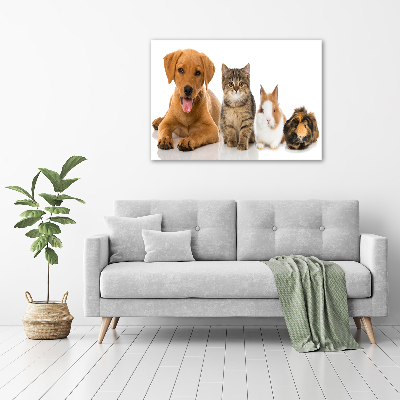 Tableau toile imprimée Chien et chat