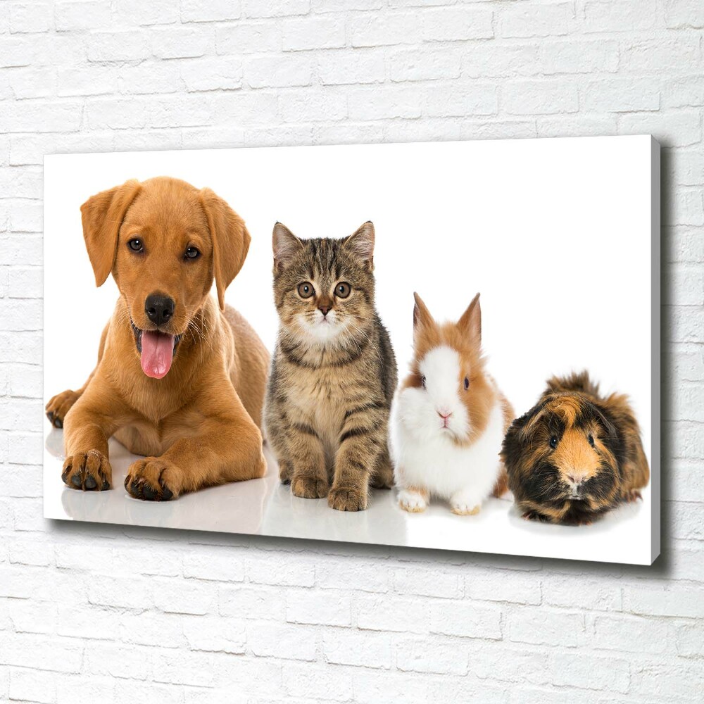 Tableau toile imprimée Chien et chat