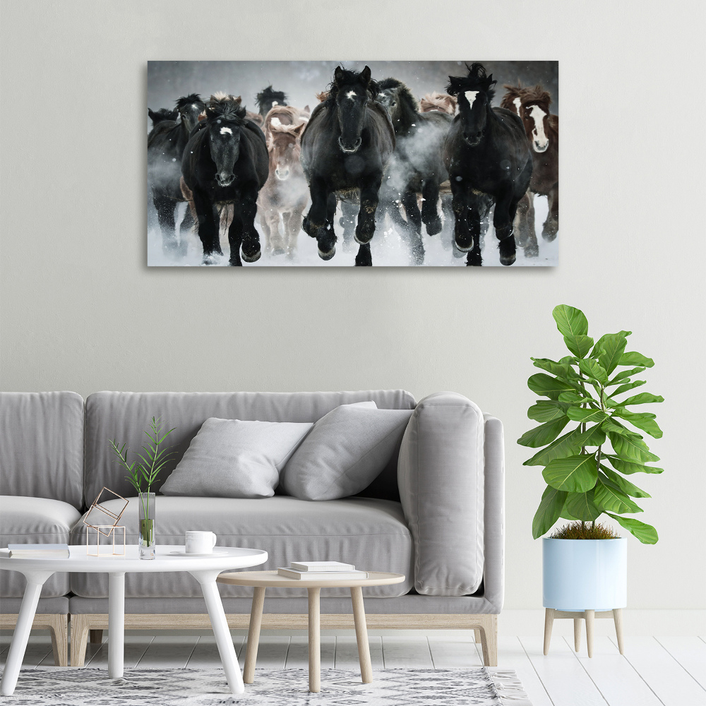 Tableau toile imprimée Chevaux au galop