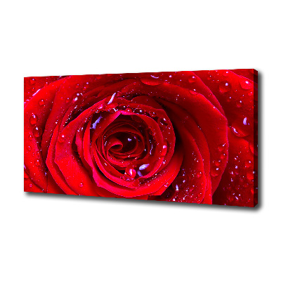 Tableau sur toile Fleur de rose