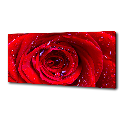 Tableau sur toile Fleur de rose