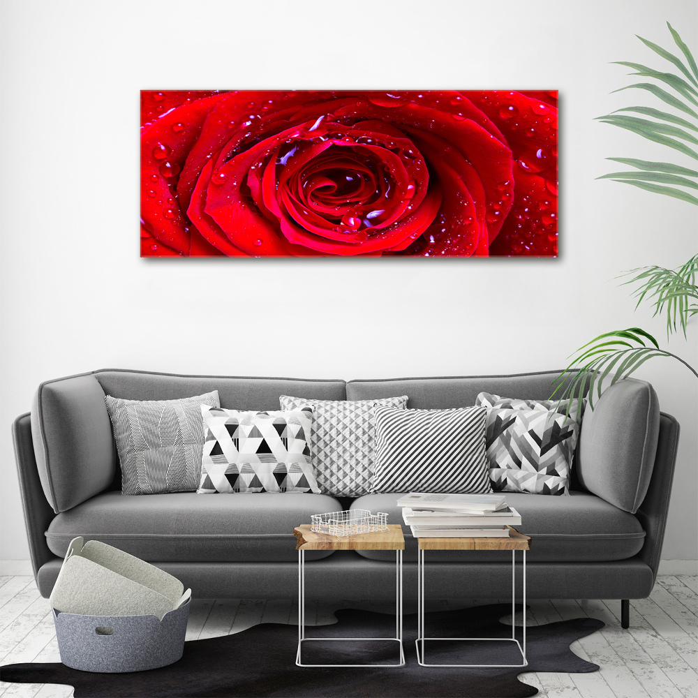 Tableau sur toile Fleur de rose