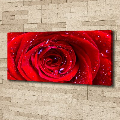 Tableau sur toile Fleur de rose