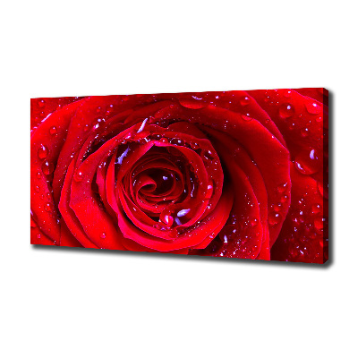 Tableau sur toile Fleur de rose