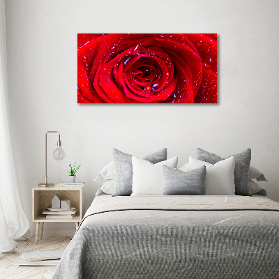 Tableau sur toile Fleur de rose