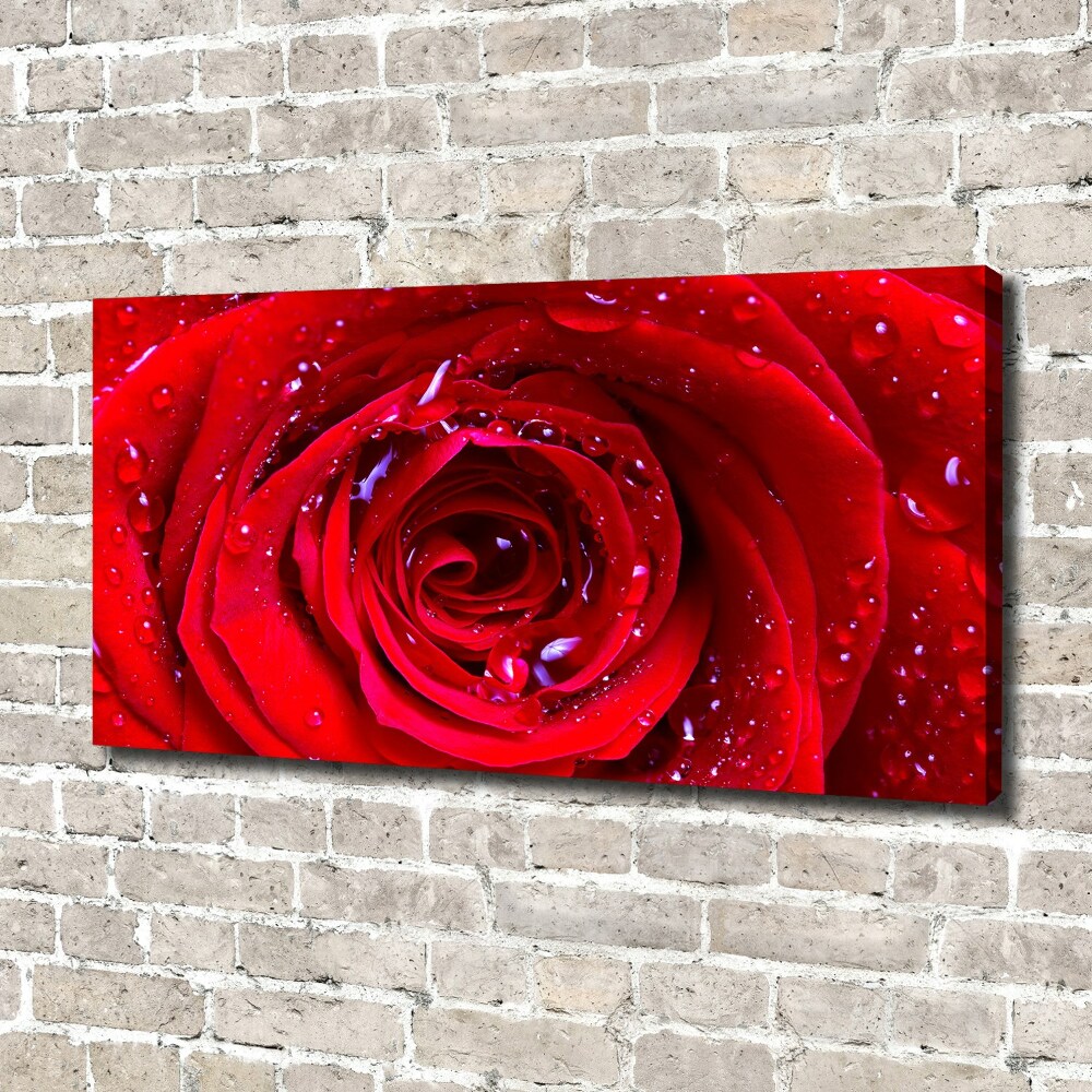 Tableau sur toile Fleur de rose