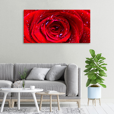 Tableau sur toile Fleur de rose