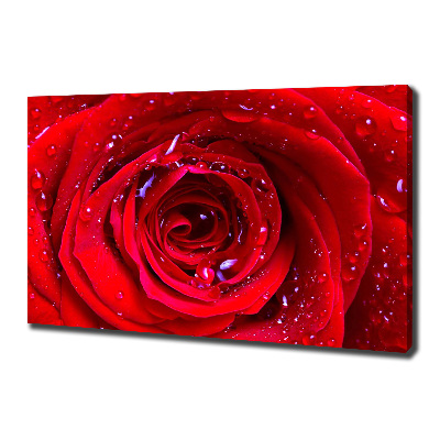 Tableau sur toile Fleur de rose