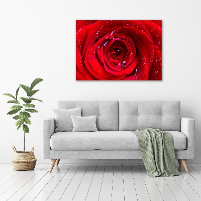 Tableau sur toile Fleur de rose