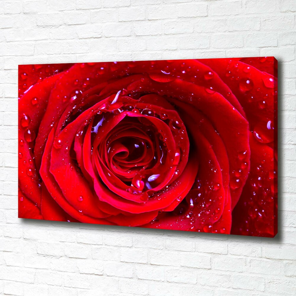 Tableau sur toile Fleur de rose