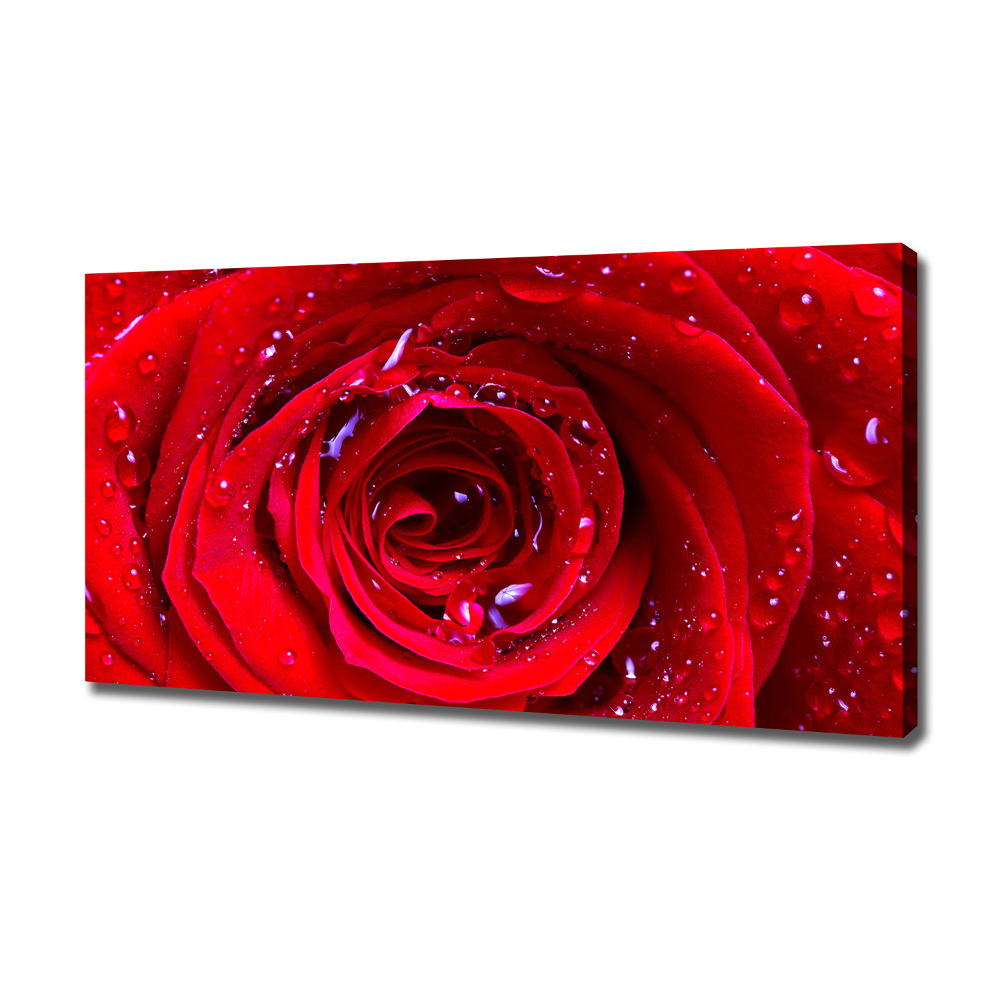 Tableau sur toile Fleur de rose