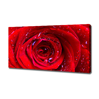 Tableau sur toile Fleur de rose