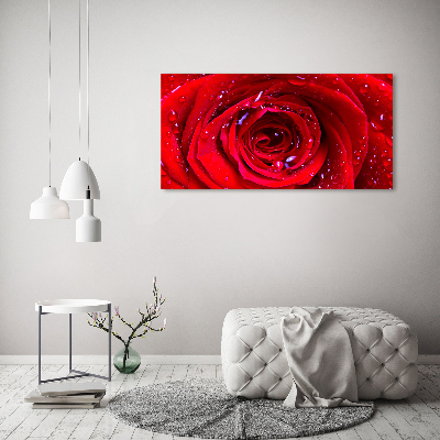 Tableau sur toile Fleur de rose