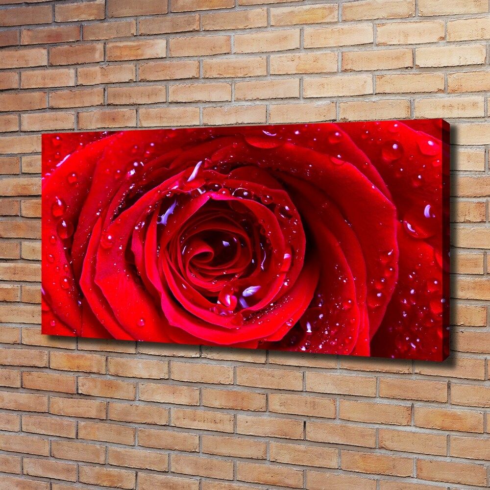 Tableau sur toile Fleur de rose