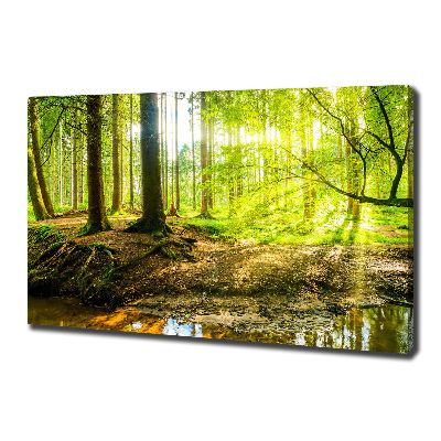 Tableau imprimé sur toile Forêt de soleil