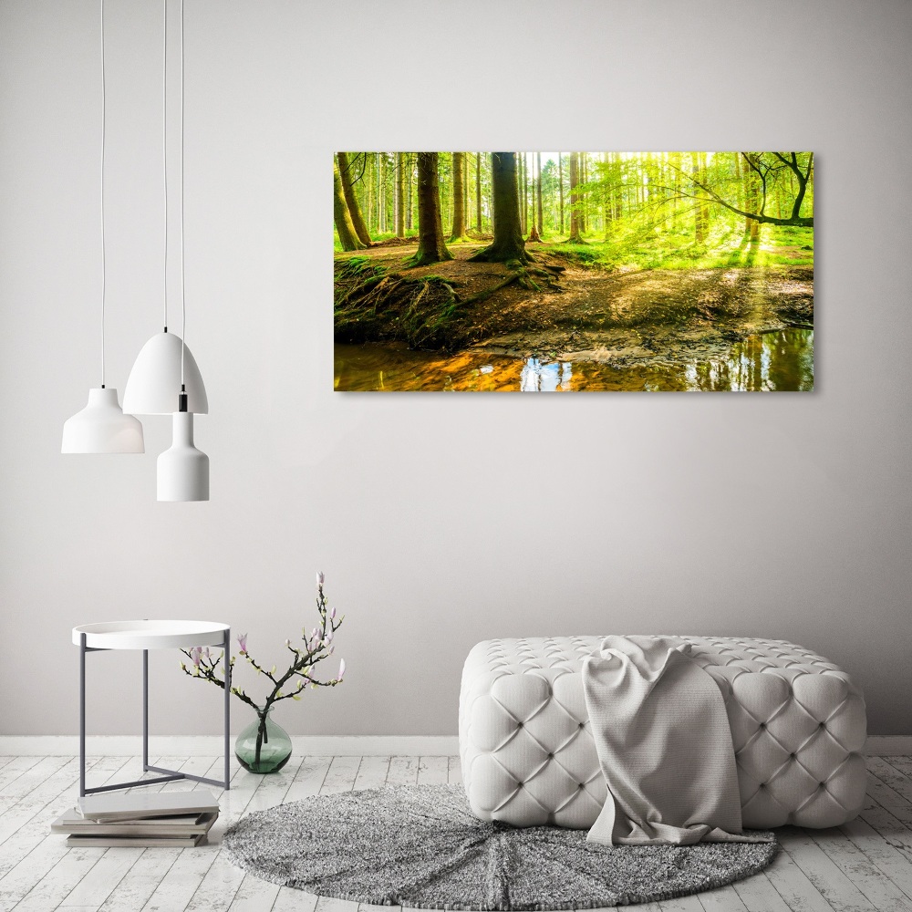 Tableau imprimé sur toile Forêt de soleil